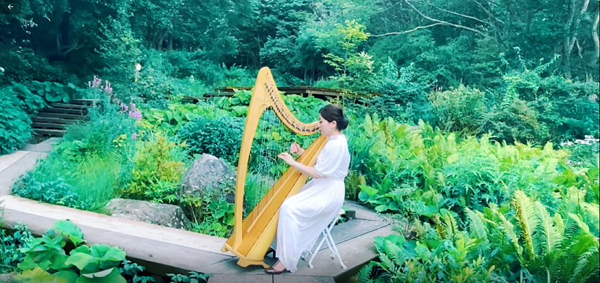 SIKIガーデンコンサート2025